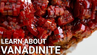 Learn about Vanadinite [upl. by Lyell408]