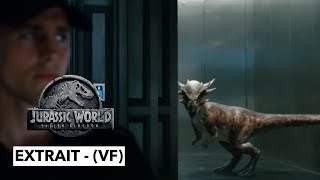 Jurassic World  Fallen Kingdom  Extrait  Stiggy interrompt les enchères   VF [upl. by Chic127]