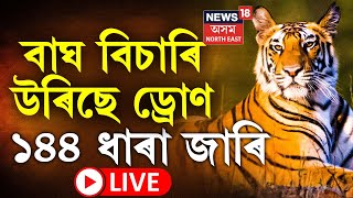 LIVE  Tiger Terror  144 Imposed in Nagaon  বাঘৰ মুক্ত বিচৰণক লৈ নগাঁৱত জাৰি ১৪৪ ধাৰা  Assam [upl. by Salohci]