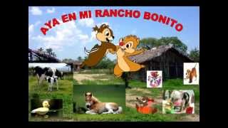 LAS ARDILLITASMI RANCHO BONITO [upl. by Bonns]