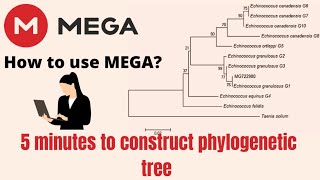 How to construct phylogenetic treeHow to use MEGA What is MEGAPART 2PART1 is in description [upl. by Mloclam566]