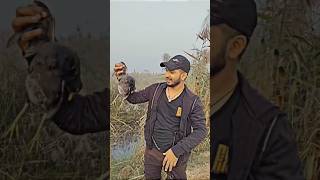 Moorhen Hunt with airgun🔥😧 birds hunting sound bird moorhens duckhuntinginpakistan [upl. by Mulvihill]