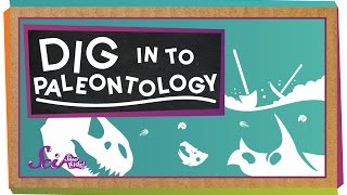 Dig In To Paleontology [upl. by Iams476]