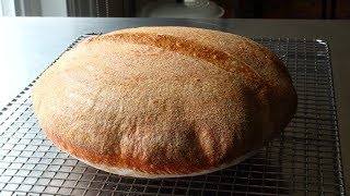 Sourdough Bread  Part 1 The Starter [upl. by Guimar]