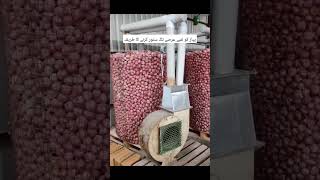 How to store onions for long without any damage flute [upl. by Aniretac]