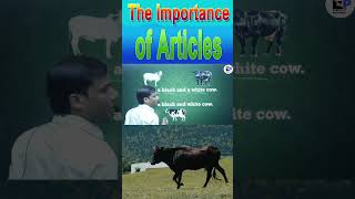 Articles Can Change the Meaning II English Grammar II Shorts II By Shivnath Kashyap [upl. by Fates856]