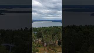 Best views from the topbestviews travel sweden gondola kolmården [upl. by Eerok872]