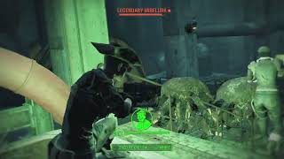 Fallout 4 Mirelurk hunt while over encumbered [upl. by Kcirtemed697]