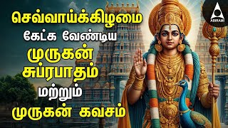 Tuesday Powerful Murugan Suprabatham And Muruga Kavasam  Murugan Bakthi Padalgal [upl. by Fatimah]