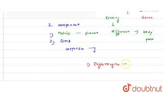 Name the various types of formed elements present in the blood  11  BODY FLUIDS AND CIRCULATI [upl. by Urbano]