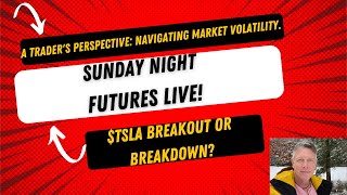 A Traders Perspective Navigating Market Volatility  TSLA Stock Analysis [upl. by Jeniece]