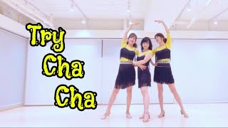 Try Cha Cha Line Dance High Beginner 트라이차차 라인댄스 [upl. by Esened]