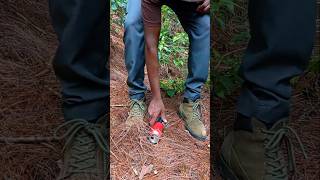 Survival in Forest Egg Cooking shortvideo bushcraftsurvival viralvideo [upl. by Neersin531]