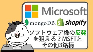 ソフトウェアの反発を狙える？、マイクロソフトとその他3銘柄【20240628】 [upl. by Etnovert39]