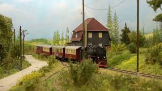 MODELSPOOR EXPO MTD TREINENCLUB EDEGEM 2024  Part 3 [upl. by Iahcedrom937]