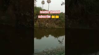 Quran para 20 urdu translation  youtube shorts  yt shorts  yt video  Viral shorts  subscribe [upl. by Alabaster202]