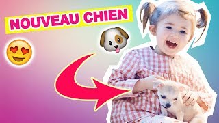 âťĄ 704  NOUVEAU CHIEN  đźŤ  Milababychou Vlog [upl. by Sabian861]