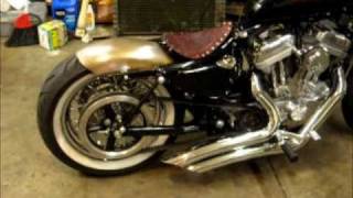 2004 Harley Sportster Project Pt1 [upl. by Yeltrab]