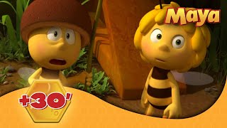 La Abeja Maya 🐝 🕒 30 EPISODIOS COMPLETOS 🐝 [upl. by Erich]