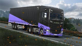 Euro Truck Simulator 2 Online  TruckersMP  ProMods G29 Steering Wheel and Shifter GamePlay [upl. by Marcos31]