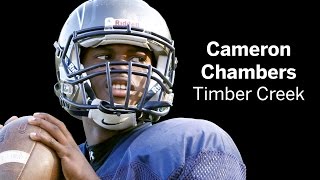 Cameron Chambers football highlights [upl. by Bergren]