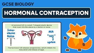 Hormonal Contraception  GCSE Biology [upl. by Alac734]