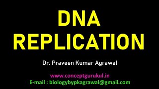 DNA Replication  Molecular Basis of Inheritance  Class 12 Genetics  DNA kaise replicate karta hai [upl. by Atirys]