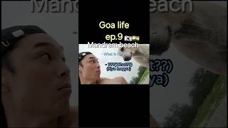 🇰🇷🇮🇳 Goa life ep9 koreangoatravelvlog funny india [upl. by Nueovas]