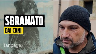 Sbranato dai cani l’allevatore che ha cercato di salvarlo “Ho gridato per attirarli contro di me” [upl. by Thoer457]