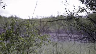 Burnhope Pond [upl. by Westberg]