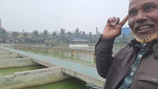 আধুনিক পদ্ধতিতে মাছ চাষ  IPRS fish farming system Chapai nobabjangu bigmoneySM [upl. by Ezra]