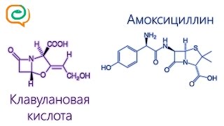 Побыстрому о лекарствах Амоксициллин и клавулановая кислота [upl. by Hsakaa300]