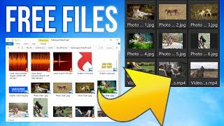 Free Video Editor Test Files Pack MP4 MP3 JPG PNG  Sample Video Project [upl. by Leffen]