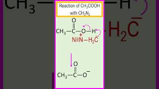 Reaction of acetic acid CH3COOH with diazomethane CH2N2 chemistry [upl. by Farland]