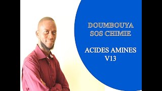 ACIDES αAMINÉS V13 PROPRIÉTÉS CHIMIQUES DE LA CHAINE LATERALE DES ACIDES αAMINÉS [upl. by Arlie]