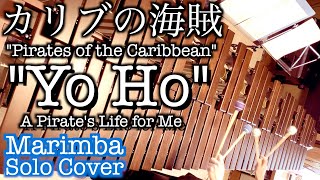 【カリブの海賊】『Yo Ho』 A Pirates Life for Me  Pirates Of The Caribbean  Marimba Solo Cover [upl. by Annaoy]