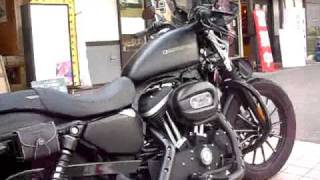 SPORTSTER XL883N XL883C 883 HarleyDavidson Sportster [upl. by Culley864]