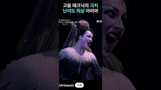 마술피리 밤의 여왕 아리아 커버 Opera Magic Flute Queen Aria of the Night cover モーツァルト オペラ 魔笛 夜の女王 アリア カバー 모짜르트 [upl. by Narmis]