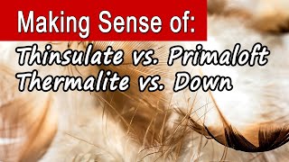 Which Is Better Thinsulate Primaloft Thermalite or Down [upl. by Sheeb529]