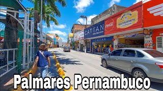 Palmares Pernambuco A Cidade Março 2024 [upl. by Aeriell]