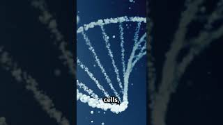 Gene Therapy Revolutionizing Cancer Treatment with Precision and Innovation [upl. by Camus597]