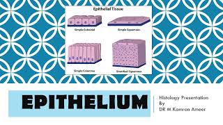 Epithelium  Cell Junctions  Apical Modifications  Dr Muhammad Kamran Ameer [upl. by Niwre560]