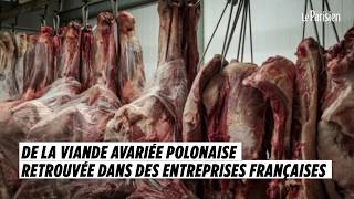 Près de 800 kg de viande avariée polonaise retrouvés dans des entreprises françaises [upl. by Jarlath80]