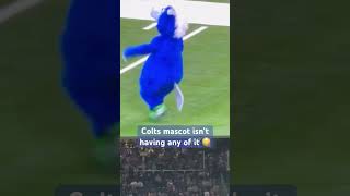 Colts mascot shenanigans nfl colts indianapoliscolts blue mascot popwarnerfootball fighting [upl. by Assillam]