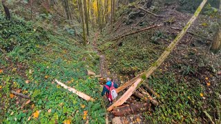 Wolfsschlucht Sonnenberg [upl. by Esej]