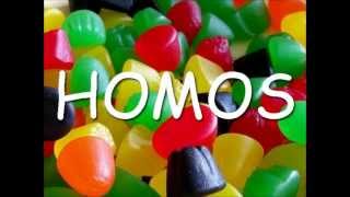 DANZIG  HOMOS MUSIC VIDEO HELLMASK STEREO MIX [upl. by Ahsela]