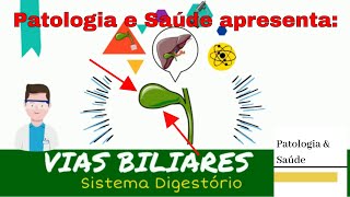 Histologia do Sistema Digestório Vesícula Biliar e Vias Biliares [upl. by Ahsart]