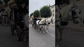 Journée à l’ancienne Aigues Mortes [upl. by Ocsecnarf]