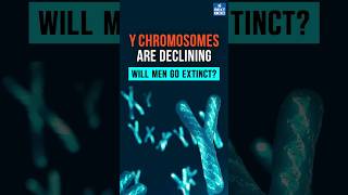 Y Chromosome Disappearing  Humanity at Risk  UPSC Current Affairs 2024 [upl. by Circosta]