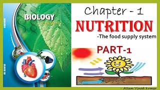 Nutrition  The Food Supply System 10th Biology Part 1 [upl. by Ahsemac]